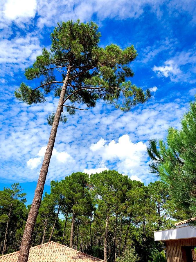 Lège-Cap-Ferret Domaine Du Ferret Restaurant & Spa المظهر الخارجي الصورة
