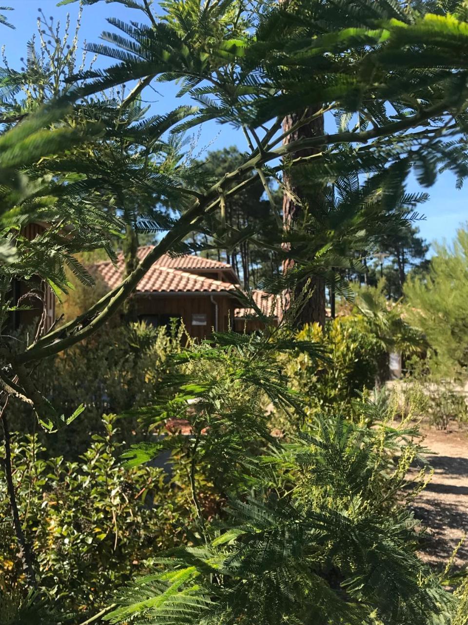 Lège-Cap-Ferret Domaine Du Ferret Restaurant & Spa المظهر الخارجي الصورة